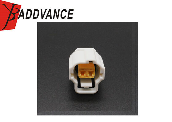 2 hole AMP receptacle waterproof automotive connectors 184020-1